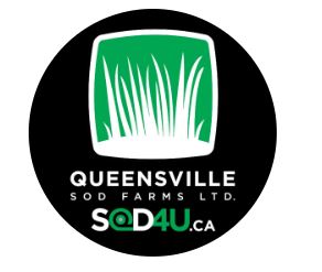 Queensville Sod