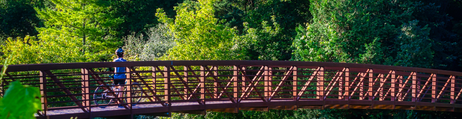 Cyclist ridding bike over bridge in forested park